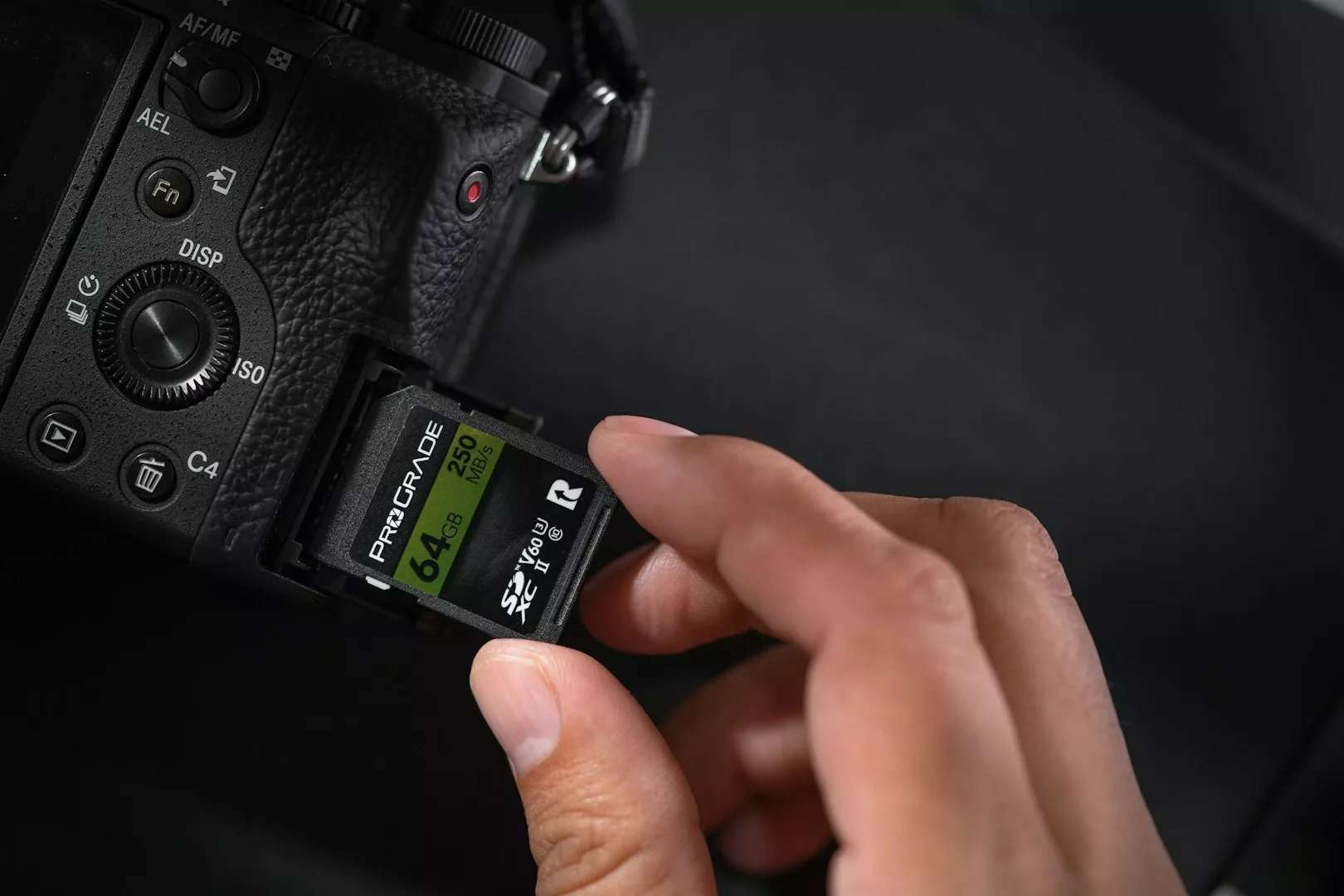Professional camera photography backup